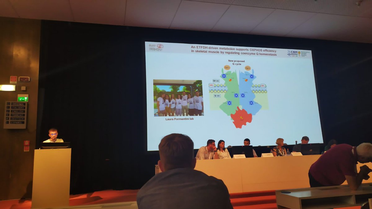 Formentini Lab tweet media