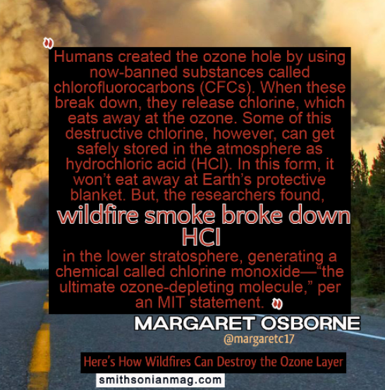 Sophie Gabrielle on Twitter "One thing leads to another . Wildfire Sophie Gabrielle on Twitter "One thing leads to another . Wildfire
