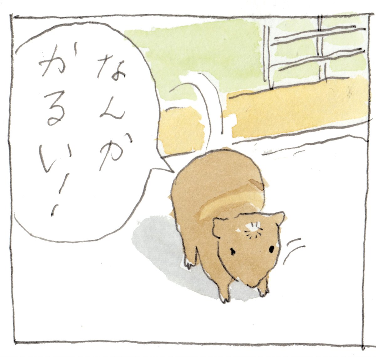 脂肪腫が取れて体が軽くなったことが嬉しいみたい