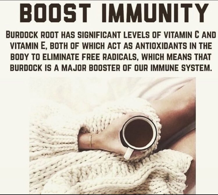 #burdockroot #immunesystem #immunity #herpesawareness #hpvawareness #cancersucks #herbalmedicine #trend #drsebi #NewYork #atlanta #seattle #antioxidant #Florida