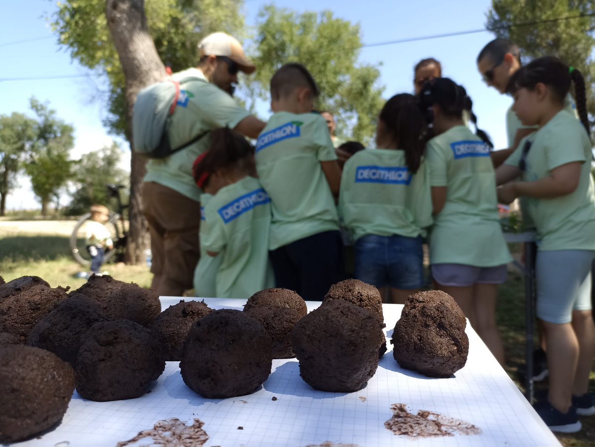 ACAmbientales's tweet photo. Hoy junto con @DecathlonES celebramos el  10° aniversario de las Jornadas de Voluntariado Ambiental realizando rutas interpretadas, yinkanas, talleres de bombas de semillas... hay que poner en valor la biodiversidad urbana, en este caso de Getafe y Alorcón. https://t.co/v802IVlmNj
