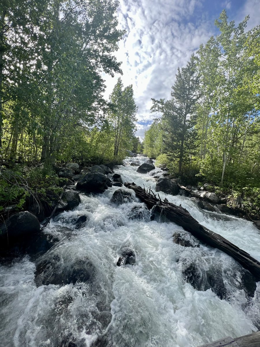 Explored Grand Teton and Jackson 🩶 #grandteton #jacksonhole #wyoming #adventure
