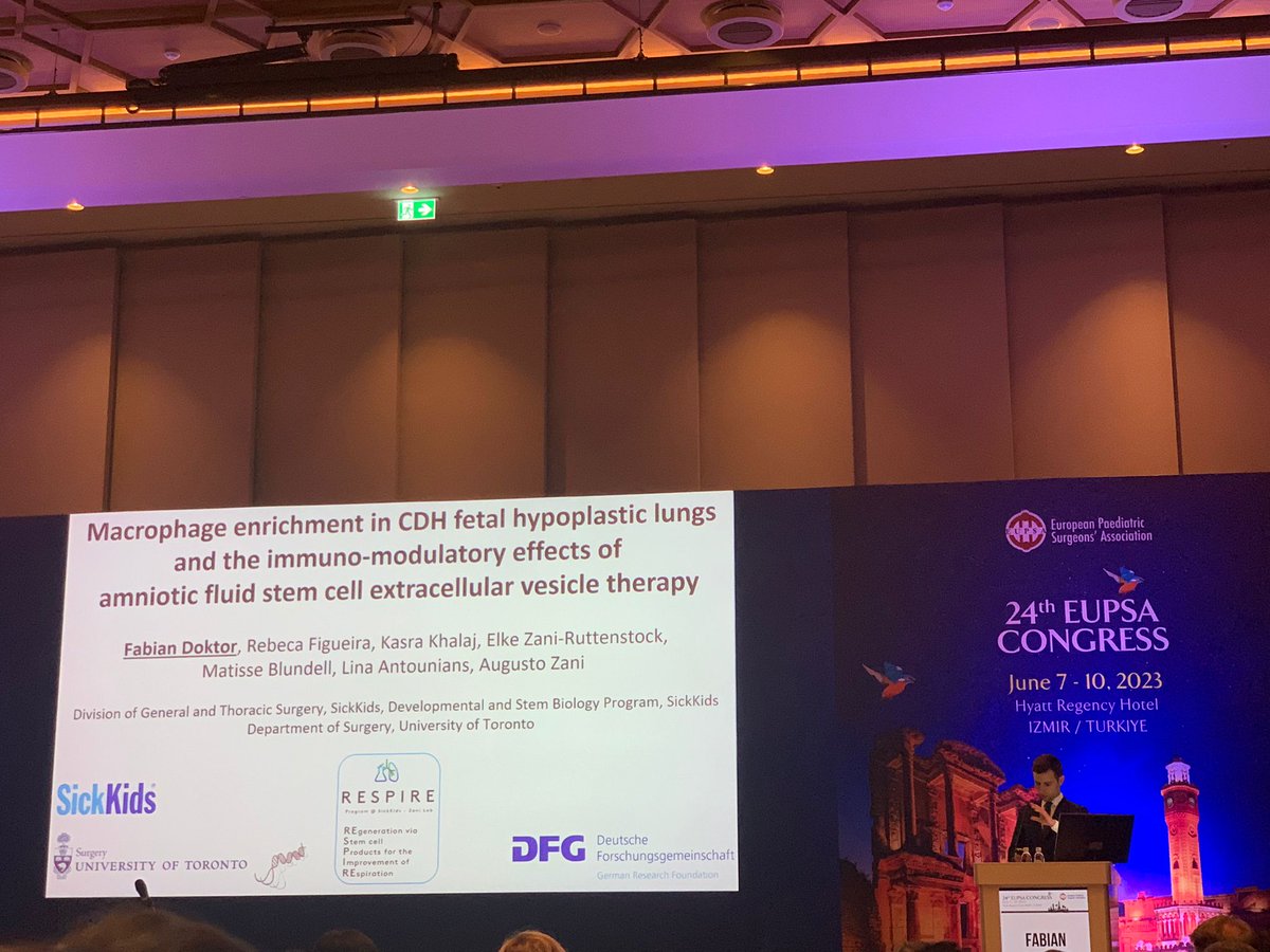 Fabian Doktor tweet media