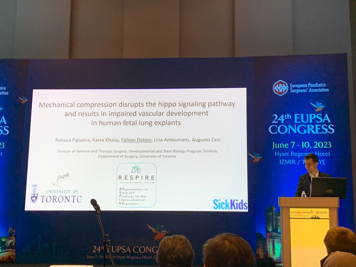 Fabian Doktor (@fabiandoktor) on Twitter photo Proud to present our work about CDH 🫁 and the effects of AFSC-EVs at the 24th <a href="/EupsaSurgeons/">EUROPEAN PAEDIATRIC SURGEONS’ ASSOCIATION</a> conference in Izmir! Many thanks to my colleagues <a href="/Zani_Lab/">Zani Lab</a> and my mentors <a href="/augusto_zani/">Augusto Zani</a> and <a href="/martin_lacher/">Martin Lacher</a> for their ongoing support! <a href="/SickKidsNews/">The Hospital for Sick Children (SickKids)</a> <a href="/SKDevStemCell/">SickKids Developmental & Stem Cell Biology Program</a> <a href="/cdhintl/">CDH International</a> <a href="/UofTSurgery/">U of T Department of Surgery</a> Proud to present our work about CDH 🫁 and the effects of AFSC-EVs at the 24th <a href="/EupsaSurgeons/">EUROPEAN PAEDIATRIC SURGEONS’ ASSOCIATION</a> conference in Izmir! Many thanks to my colleagues <a href="/Zani_Lab/">Zani Lab</a> and my mentors <a href="/augusto_zani/">Augusto Zani</a> and <a href="/martin_lacher/">Martin Lacher</a> for their ongoing support! <a href="/SickKidsNews/">The Hospital for Sick Children (SickKids)</a> <a href="/SKDevStemCell/">SickKids Developmental & Stem Cell Biology Program</a> <a href="/cdhintl/">CDH International</a> <a href="/UofTSurgery/">U of T Department of Surgery</a>