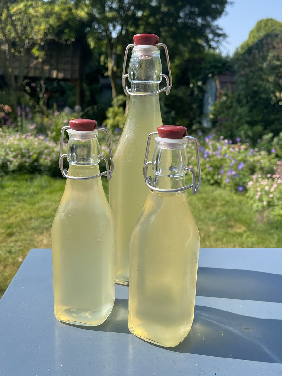 Morning 🥂This is the elderflower cordial with fresh mint ❤️