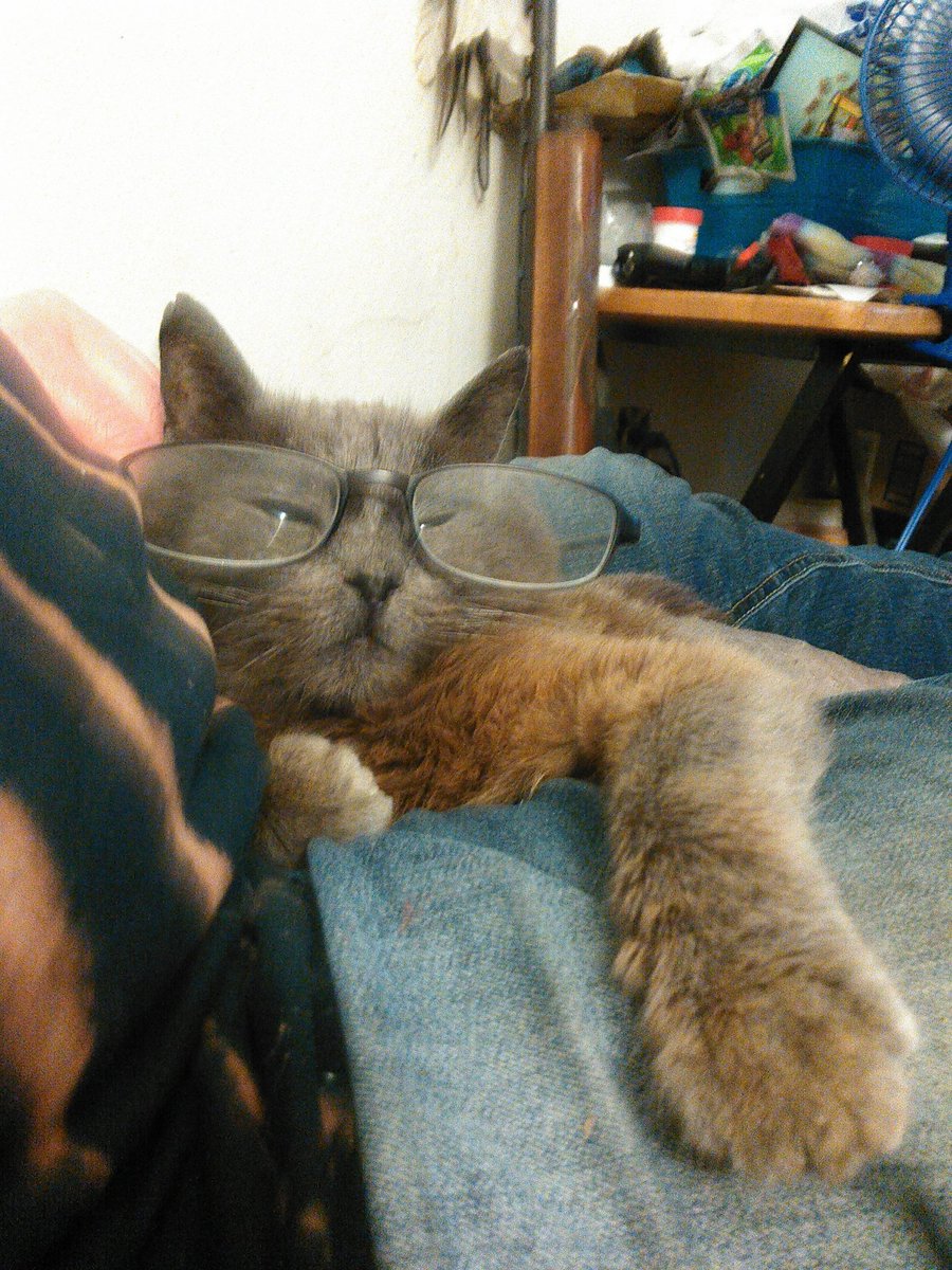 SMost5's tweet photo. @CatsSurname πππ
β€οΈβ€οΈβ€οΈ
Sometimes in the middle of the night I can feel Felix ( Rip 1/6/19) jump up on the bed .
Just like he did So many times πΏ
#kittylove
#CatsofTwittter
#CancerIsEvil https://t.co/ET4uDJFGch