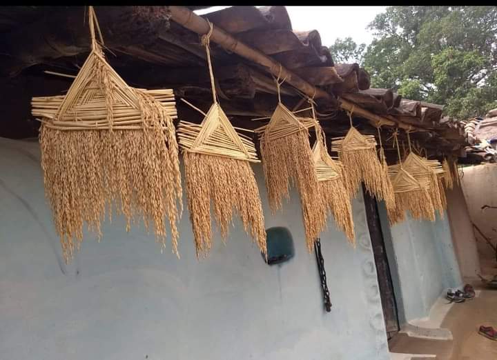 Tribal_philosop's tweet photo. मैं बिरसा हुँ।मेरी लड़ाई मेरे पुरखो के जल,जंगल,जमीन को बचाने की थी न की बाहर से आये हुऐ शरणार्थीयो के धर्म को बचाने की।मेरी लड़ाई अंग्रेजो से कम और इस देश के सेठ,सहुकार,जमींदारो से ज्यादा थी क्योंकि आदिवासियों की जमीन अंग्रेजो ने नही बल्कि सेठ,साहुकार,ने छीनी #वन_विभाग_रद्द_करो https://t.co/GlRSTFtkGa