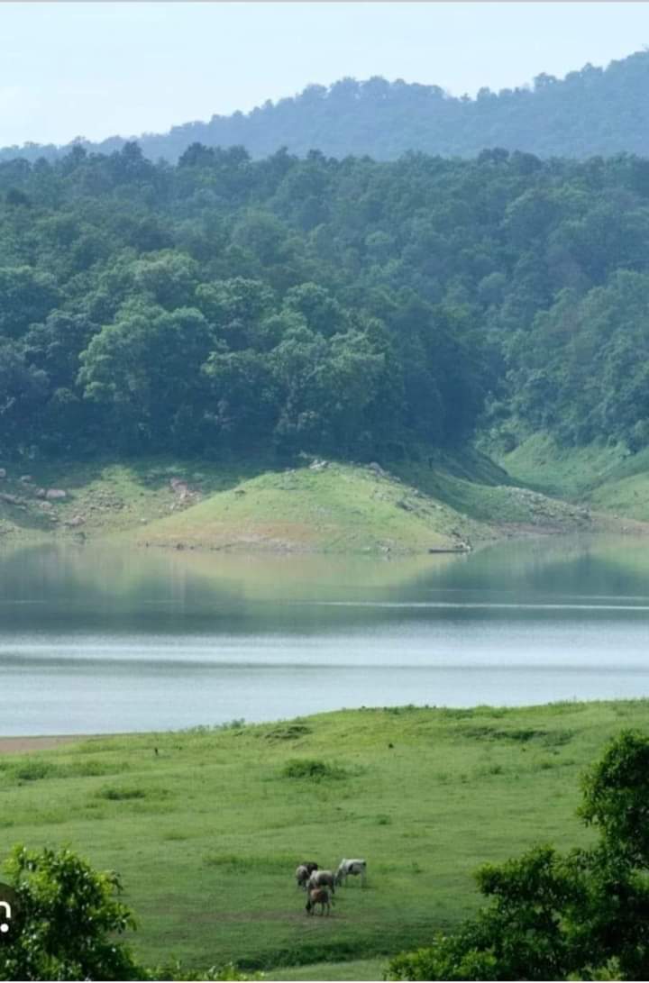 Tribal_philosop's tweet photo. मैं बिरसा हुँ।मेरी लड़ाई मेरे पुरखो के जल,जंगल,जमीन को बचाने की थी न की बाहर से आये हुऐ शरणार्थीयो के धर्म को बचाने की।मेरी लड़ाई अंग्रेजो से कम और इस देश के सेठ,सहुकार,जमींदारो से ज्यादा थी क्योंकि आदिवासियों की जमीन अंग्रेजो ने नही बल्कि सेठ,साहुकार,ने छीनी #वन_विभाग_रद्द_करो https://t.co/GlRSTFtkGa