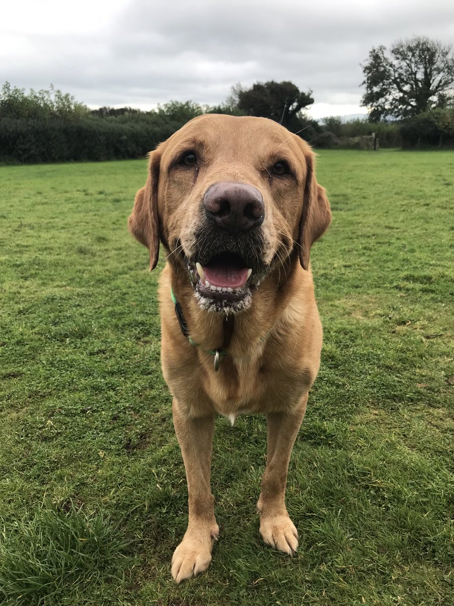 TSHall70's tweet photo. My darling boy, a year today you got your wings but you were born an angel anyway. You are remembered and missed every day and I am eternally grateful for the joy and love you brought us. Forever loved my handsome fella ❤️❤️❤️❤️❤️ https://t.co/QehKLvR9CU
