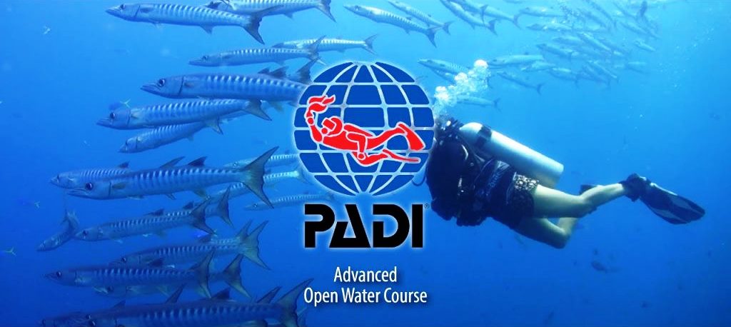 neeldiving's tweet photo. PADI Advance Open Water Diver (AOWD) Course in INDIA.

Learn PADI Ad ..For more info visit...https://t.co/1rt0s6nBMe https://t.co/GWWDbGlRpA