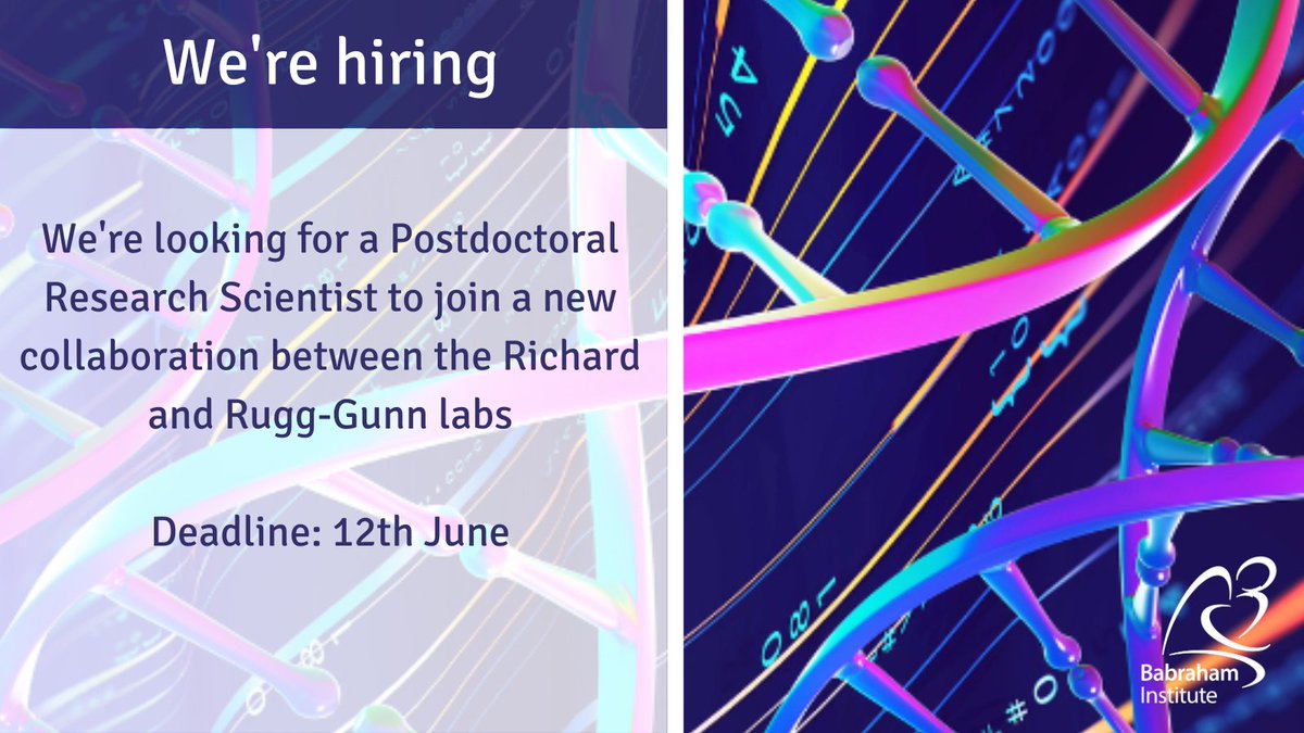 LAST CHANCE: Postdoctoral Research Scientist

The role holder will be investigating the role of epigenetic memory in guiding functional divergence of particular T cell subsets dependent on stimulation history 🧬

£33,970  to £37,500 
babrahaminstitute.livevacancies.co.uk/#/job/details/… #ScienceJobs