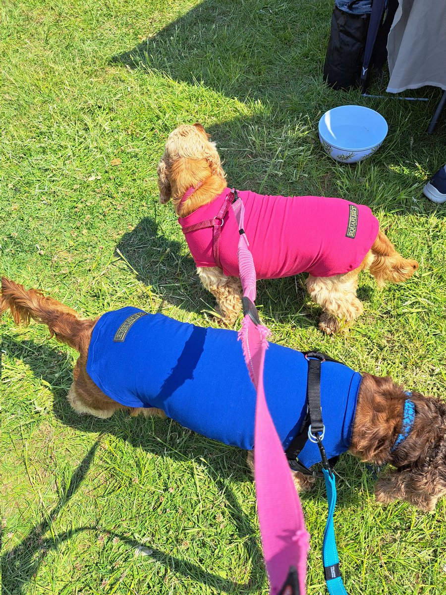 We went to #dogfest yesterday and we had these 2 new #equafleece cool t-shirts. It was good to meet up with <a href="/Mteasel67/">mark teasel💙💙💙</a>  and Harry and Grace