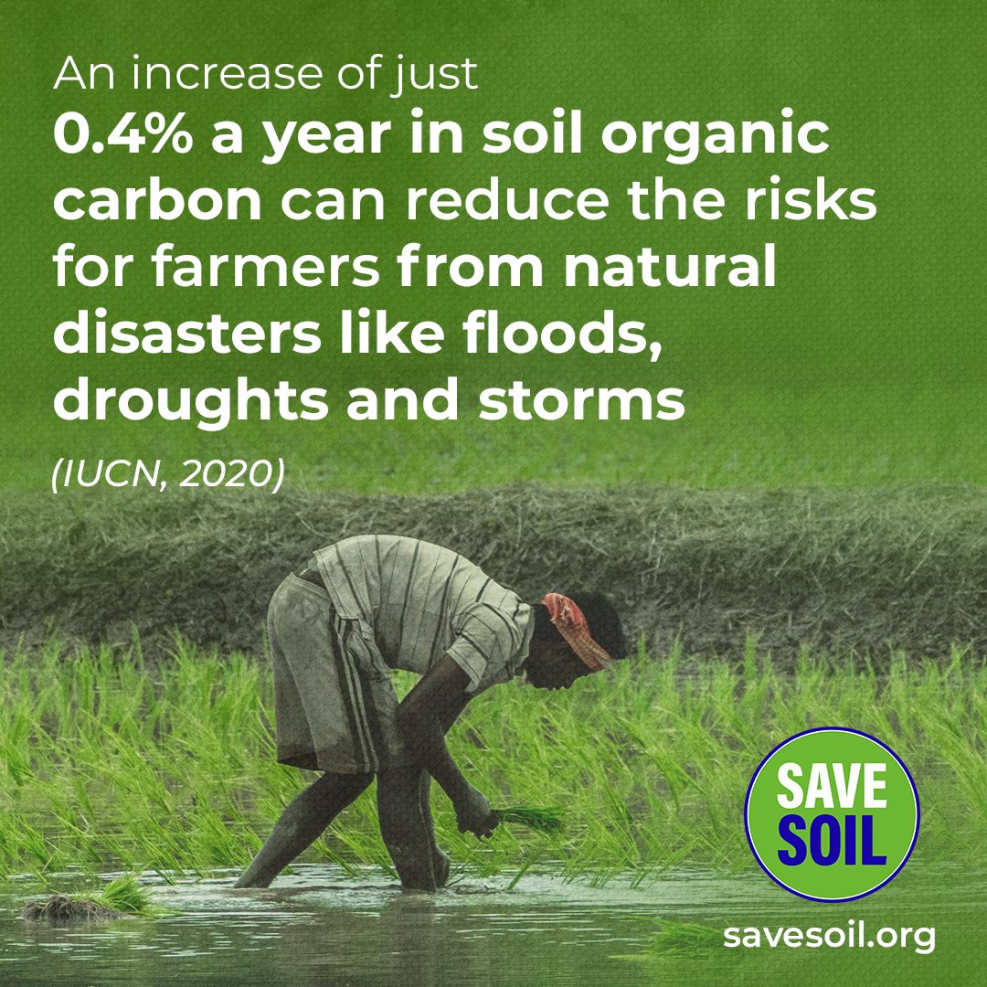 An increase of just 0.4% a year in soil organic carbon can reduce the risks for farmers from natural disasters like floods, droughts and storms. (IUCN, 2020) #SaveSoil savesoil.org