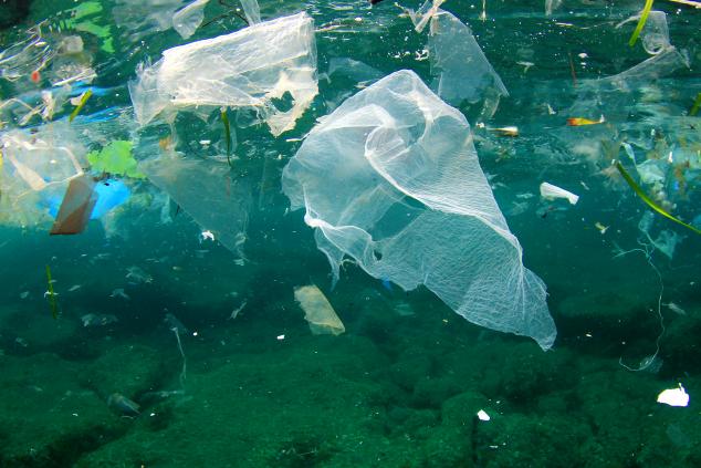 GiveaHand45's tweet photo. Please pick up the trash and throw it in garbage can       
Give a Hand! For a Better World!
#nature #trash #garbage #ocean #animals #beach #plogging #plogolution https://t.co/pdRSkEU3Ky