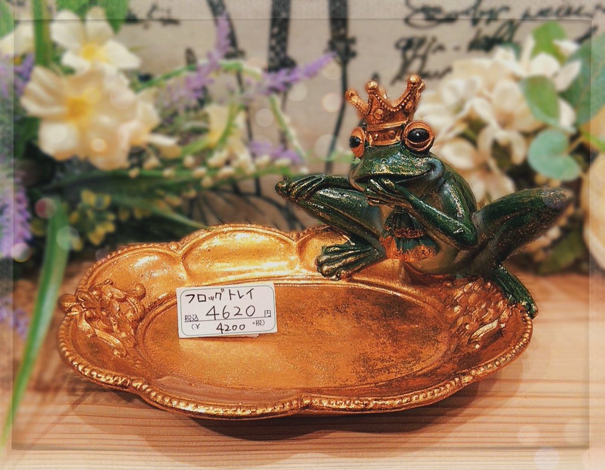 basara1215's tweet photo. カエルさんトレイです🐸✨
小物を置いておくのにピッタリ♪
カエル好きさんへのプレゼントにも喜ばれますよ- ̗̀🎁 ̖́-

■フロッグトレイ     税込￥4620
      (37351)
#婆娑羅 #三和ポチット #さんポチ #茨木市 #雑貨屋 #カエル  #インテリア雑貨  #動物好き https://t.co/knlcoQ3GgK