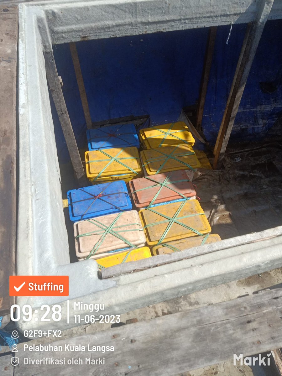 BKIPM_Langsa's tweet photo. #onehealthkipm giat pemeriksaan pengiriman komoditi perikanan dari Kuala Langsa tujuan Malaysia via kapal laut
#MenteriKKP 
#MenteriTrenggono 
#KKPThrive 
#EkonomiBiru 
#BKIPM https://t.co/FlslZ4nIJr