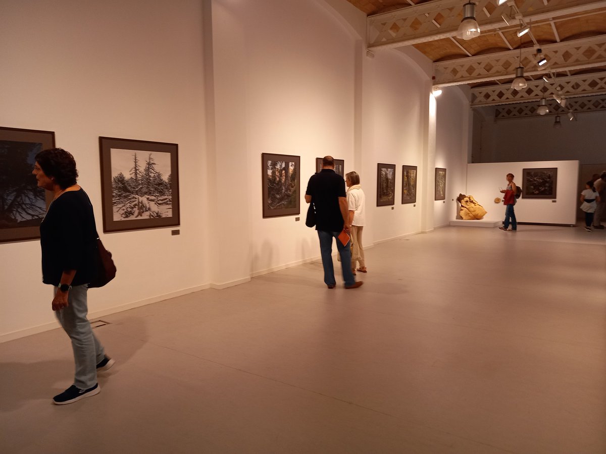 Ahir al vespre es va inaugurar, al Museu del suro de Catalunya, l'exposició fotogràfica "Bells boscos vells"  amb la conferència "Valors culturals i espirituals dels boscos vells" a càrrec de Josep Maria Mallarach