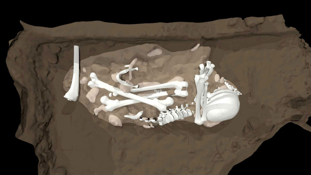 Xavi Bros on Twitter "When Did Hominins Begin to Bury Their Dead? Homo