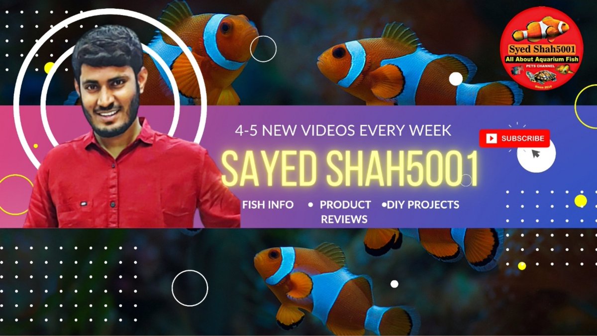 Syedshah5001's tweet image. youtube.com/live/JGHfHtWXE…
Join Us live QNA #Aquariums #Pets #Fishtanks #Shrimps #Turtles