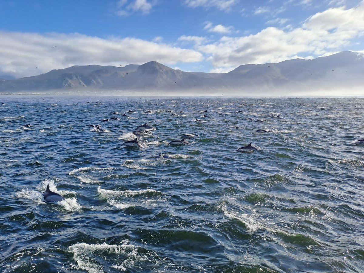 SobAlert's tweet photo. Another wonderful weekend & a delicious breakfast with @GrahamBeckSA at Dutchies at @WhaleCoastSA near #Hermanus. Then off to #FynArts Festival to admire the talents of local artists like Andree Noske and Jaques Du Plessis.
#SundayMorning #SobAlert
#Health
#energy
#nohangover https://t.co/lYFWEczysW