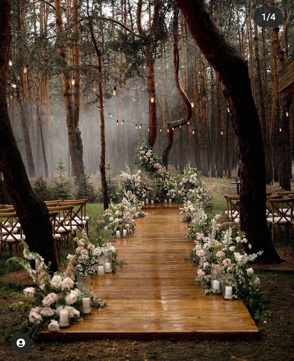Who’s dream wedding would this be? 

Tag them in the comments!💕

#wedding #weddingday #weddingideas #weddingdaylocations #forestwedding #weddingdayideas #weddinglocationideas #weddinginspo #weddingdayinspo #ido #weddingdecor #weddingdaydecor #uniqueweddings