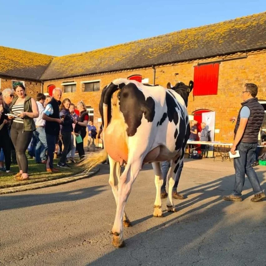 Western Holstein Club on Twitter "🐄🐄 A big thankyou to Mark Whitehurst