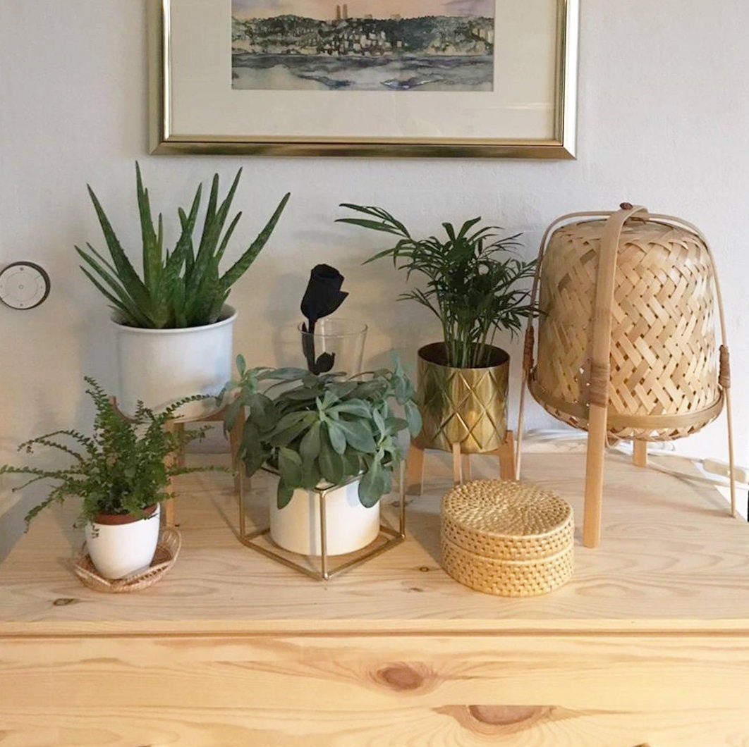 basketrybliss's tweet photo. Home decor with small plants idea.
https://t.co/cPRavDuh0L #etsy #beige #housewarming #wood #rattancoasters #rattanplate #rattandish #handmadecoasters #wovencoasters #bohocoasters https://t.co/C4gXZC5i62