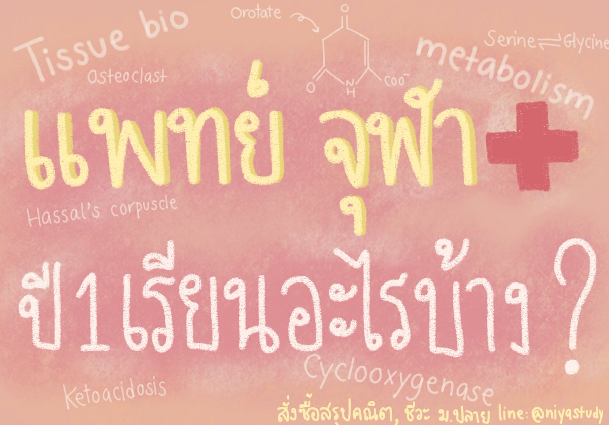 🌟ก่อนเข้าหมอต้องรู้! แพทย์ จุฬา ปี1 ต้องเรียนอะไรบ้าง?

From P’Niya แพทย์ ฬ dek65 คะแนนรวม✨ 74.xx✨

🔥เรามีไฟล์สรุปม.ปลาย ที่น้องๆที่ใช้สอบบอกว่าช่วยได้เยอะมากด้วยน้าา
📌สรุปคณิต 50 บ. (91/100)
📌สรุปชีวะ ไฟล์ละ 20 บ. มี13ไฟล์ เหมาลดเหลือ200 บ. (82/100)

#dek67 #TCAS67 #dek66