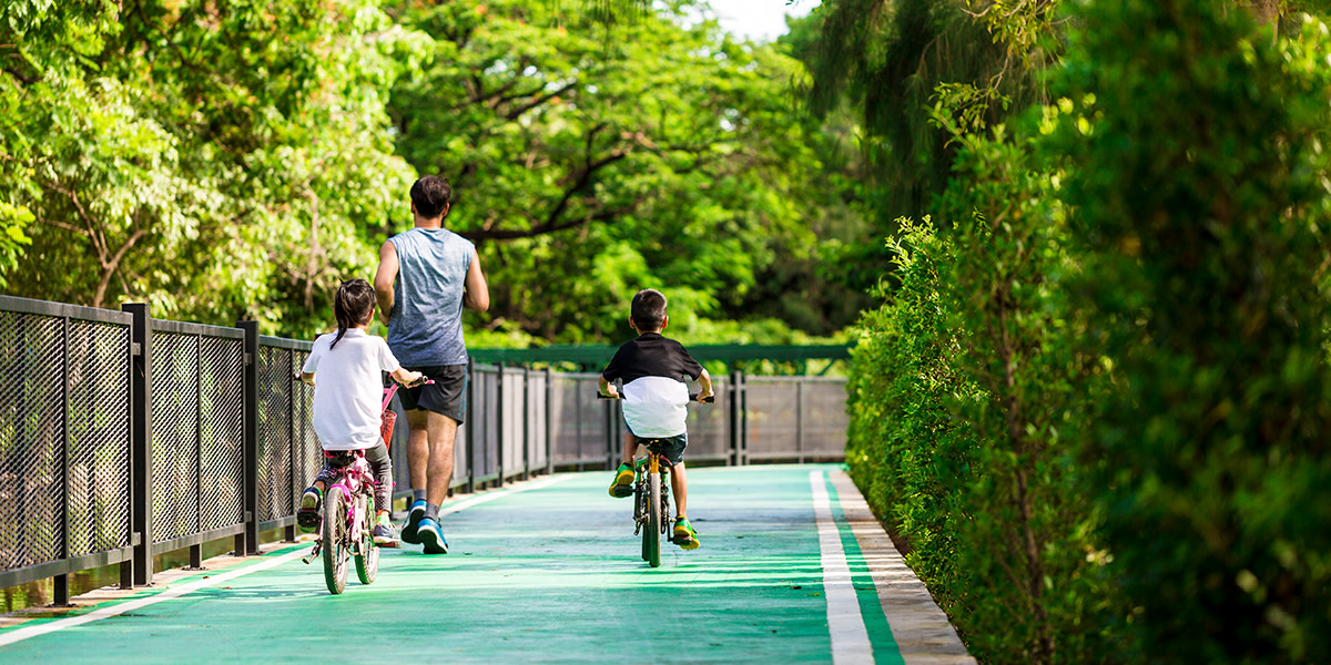 Run, jump, or cycle in the Greenways of Extremadura. These are unused railway tracks that have now been prepared for cyclists and pedestrians to use and enjoy nature.🌳🌷🥰

👉 bit.ly/3WiLMw6

#VisitSpain #SpainSustainable @Extremadura_tur