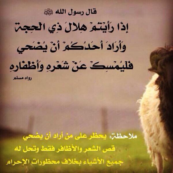 ajrri's tweet photo. يوم الاحد 29 ذو القعدة 1444 هـ
قد يكون اليوم المتمم لشهر ذي القعدة 🌙
وعليه...
فينبغي عدم أخذ شيء من الشعر أوالأظافر✂️
عند غروب شمس هذا اليوم
لمن أراد أن يضحي🐑
#عشرة_ذو_الحجة
#خير_ايام_الدنيا https://t.co/orqqGuuGfK
