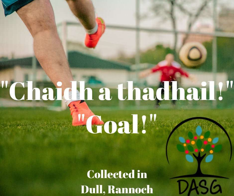 lght.ly/bc0kclf
🥅
'CHAIDH A THADHAIL - GOAL!'
⚽
#Tadhail #Goal #BallCoise #Football #Sacar
😃
#LochTummel #Rannoch #Raineach #RannochMoor #KinlochRannoch
#SiorrachdPheairt #Peairt
-
#Alba #Scotland
#Gàidhlig #Gaelic #ScottishGaelic
#DigitalArchiveofScottishGaelic #DASG