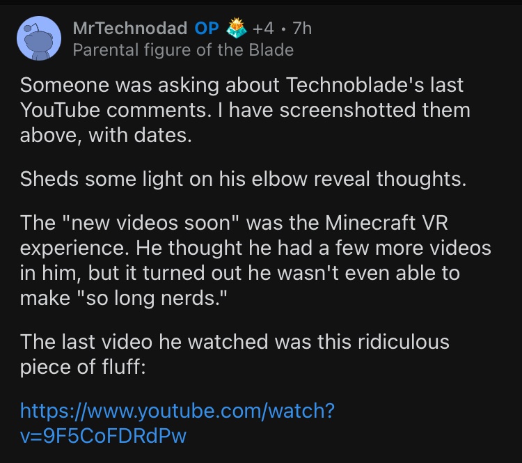 This comment was recently posted to Technoblade's video called “So Long  Nerds”, what should we do? : r/Technoblade