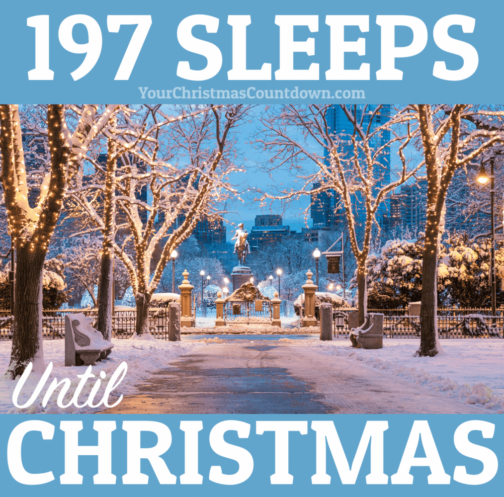 christmas_clock's tweet photo. 197 SLEEPS UNTIL  #CHRISTMAS!
 🕒 https://t.co/08kJVAWqc2 🎄🎅 https://t.co/FMcosVLTcG