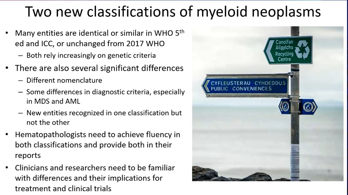 AML Hub on Twitter "Congress EHA2023 EHAISLH Laboratory