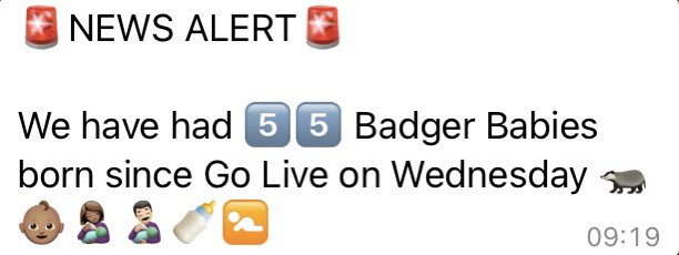 Our entire maternity &amp; digital team <a href="/gloshospitals/">Gloucestershire Hospitals NHS Foundation Trust</a> are phenomenal 🌟 During ‘Go-Live’ of new EPR - Collaboration of Quality, Safety, Family &amp; Staff experience front &amp; centre. Thank you 🙏 you’re all stars 💫 <a href="/midwifehelen/">Helen Williams</a> <a href="/glosLMNS/">Gloucestershire Local Maternity & Neonatal System</a> <a href="/dawn_morrall/">Dawn Morrall</a> <a href="/suzysue61/">Susan Hughes</a> @100_m_p_h <a href="/suz_cro/">Suzie Cro RM</a>