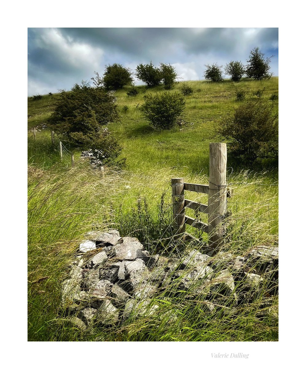 valeriedalling's tweet image. With yesterday’s reminders on here of last years @TreasuringTrees exhibition with @seaparkin and @creepingtoad and our Wardlow collaboration…I’ve revisited.
#peakdistrict #trees #iPhone #project