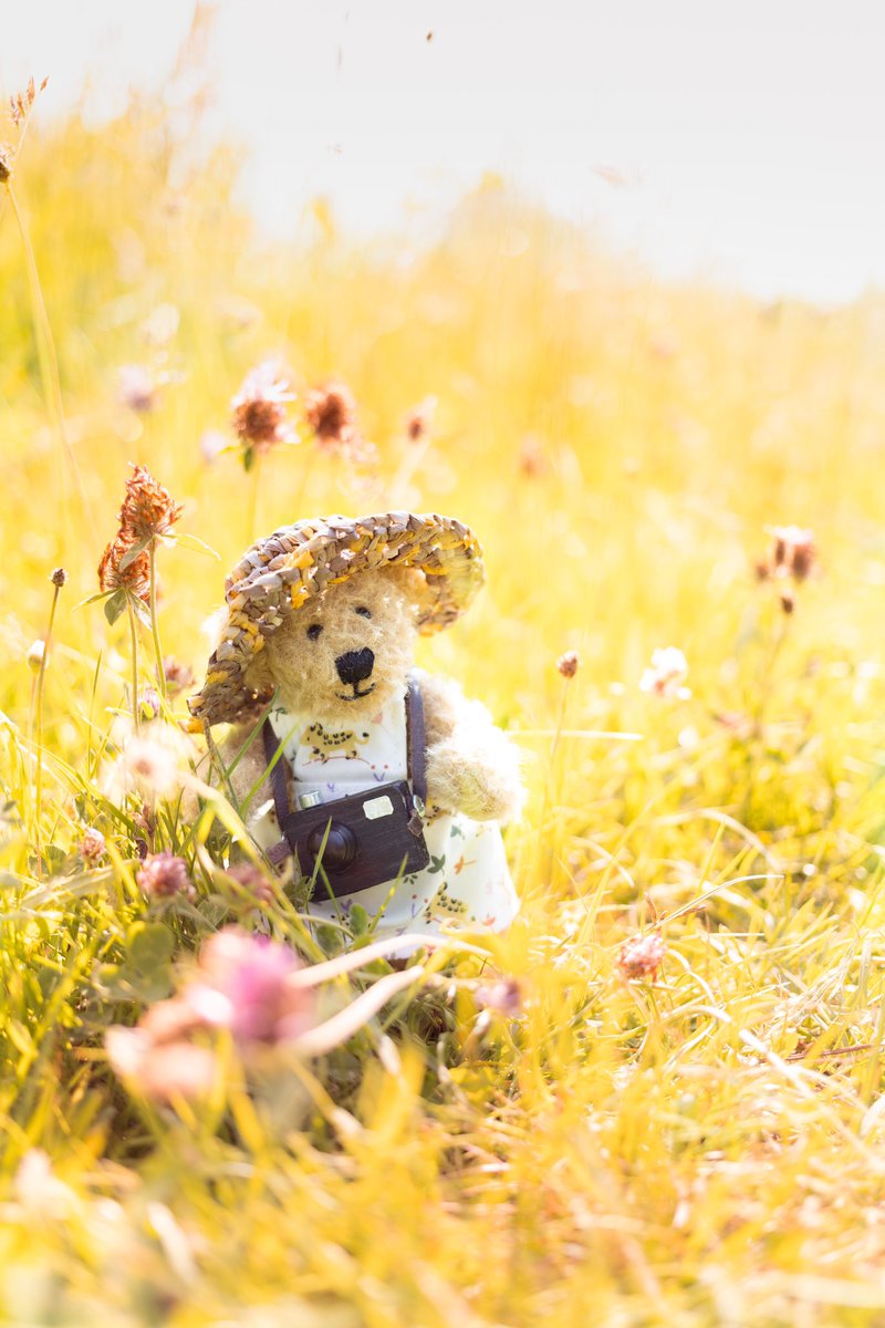 It’s my birthday. 🥳🥳