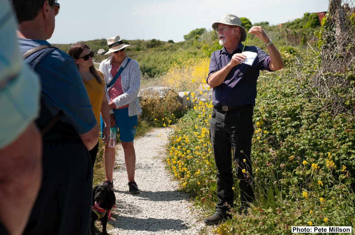 Portland's Environment Fayre. A  day to celebrate our Island's natural environment and the ways to protect it. Massive thanks to all those who visited and supported.💚
bit.ly/ICAEnvironment…
b-side.org.uk 
#GreatBigGreenWeek
<a href="/TheCCoalition/">The Climate Coalition</a>
<a href="/savechildrenuk/">Save the Children UK</a>
<a href="/DorsetComFnd/">Dorset Community Foundation</a>