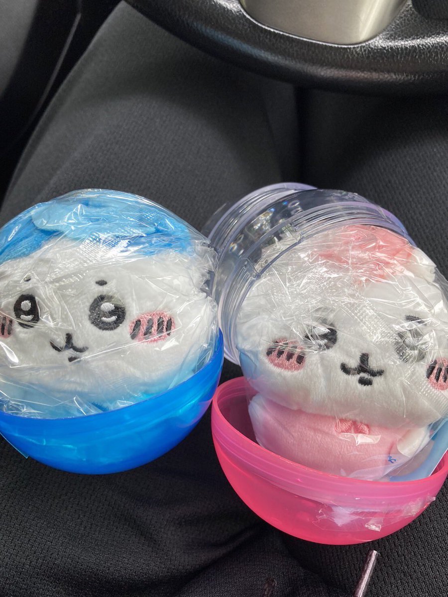 再販のちいかわBIG3ガチャ、見つけたので回しちゃいました✨
双子プルャちゃん、大きさ微妙に違うのも良き。
ちいハチちゃんも孵りました。
カプセルが卵みたいです。
