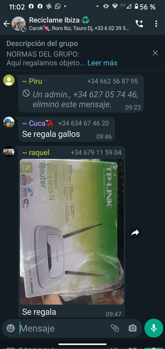 Ahora pregunto a mis rommies si podemos tener unos gallos