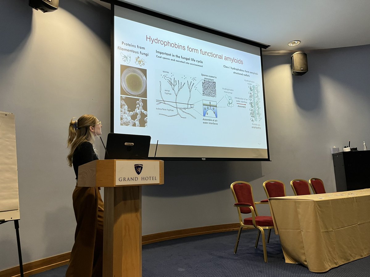 Second #nextgen session is on! Caitlin Johnston from the lab of <a href="/MargaretSunde/">Margaret Sunde</a> at the University of Sydney. Talk about functional amyloids! :)  <a href="/FASEBorg/">FASEB</a> #proteinaggregation