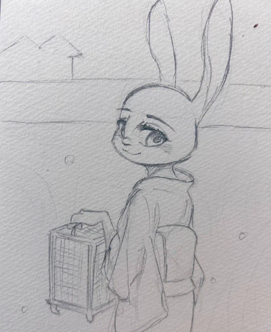 懲りもせず着物きせてる🐰👘
