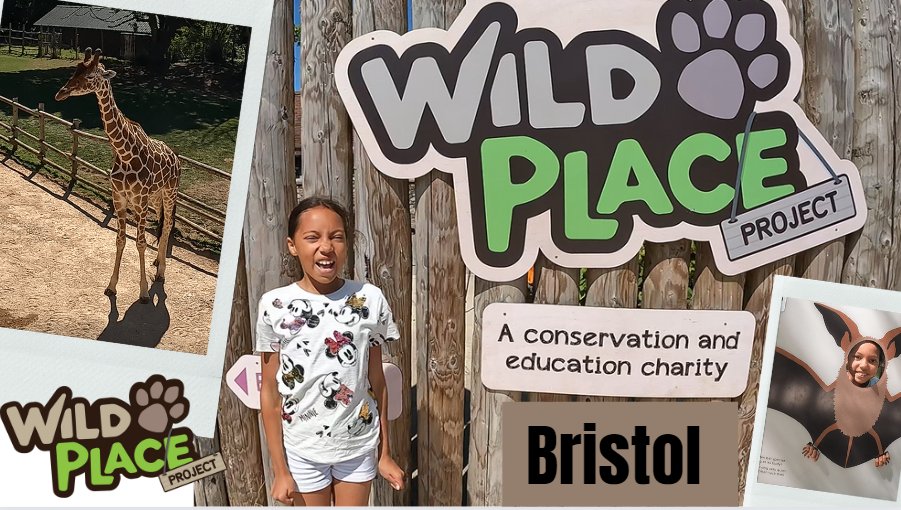nicklespaul's tweet photo. https://t.co/Vve7gVfHzu - Alesha takes a trip to @wild_place in Bristol in this weeks video. Click the link above and watch to the end to see if Alesha gets eaten by the Cheetah's and the Bears taking a bath 📷 #wildplaceproject #bristolzoo #bristol #ThingsToDoWithKids https://t.co/EBWfl0V6q0