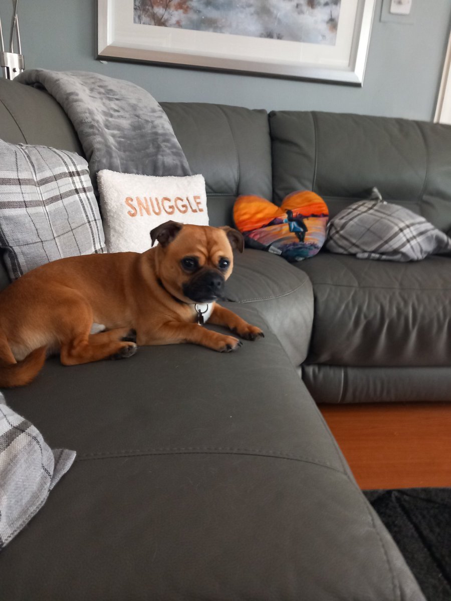 faerieshelly's tweet image. Mum sent me a pic of my baby boy. Missing my kids sooo much. I just want to kiss his face. 😘