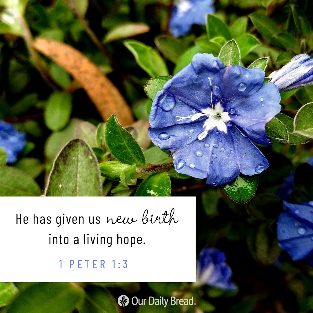 ourdailybread's tweet photo. https://t.co/kp6bGnECrz