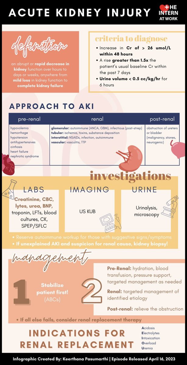 Acute kidney injury overview 🗒️

@InternAtWork 
#MedEd #FOAMed #FOAMcc #medtwitter #emergency #medicine #medicaleducation #MedicalStudents 
#LiverTwitter #MedStudentTwitter 
#medicalpractice #icu #CriticalCare 
#nephrology