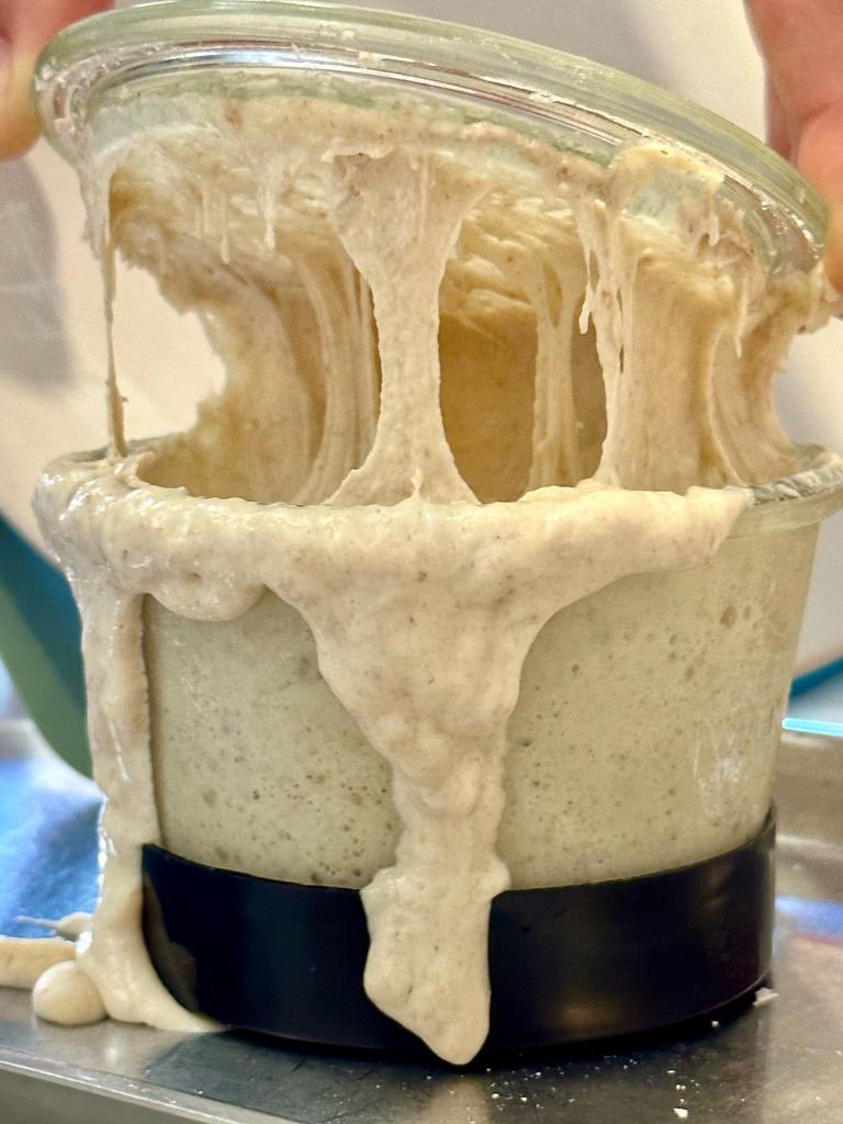 MamasPlanBe's tweet photo. #SourdoughBread #SpeltFlour #HomemadeBread #ArtisanBread #BreadLovers #SourdoughBaking #SpeltBread #HealthyBread #BakingWithLove #SourdoughCommunity #BakingFromScratch #BreadInspiration #BreadArt #SourdoughLove #SpeltFlourBread #cookingwithcancer https://t.co/GYBiVR06F7