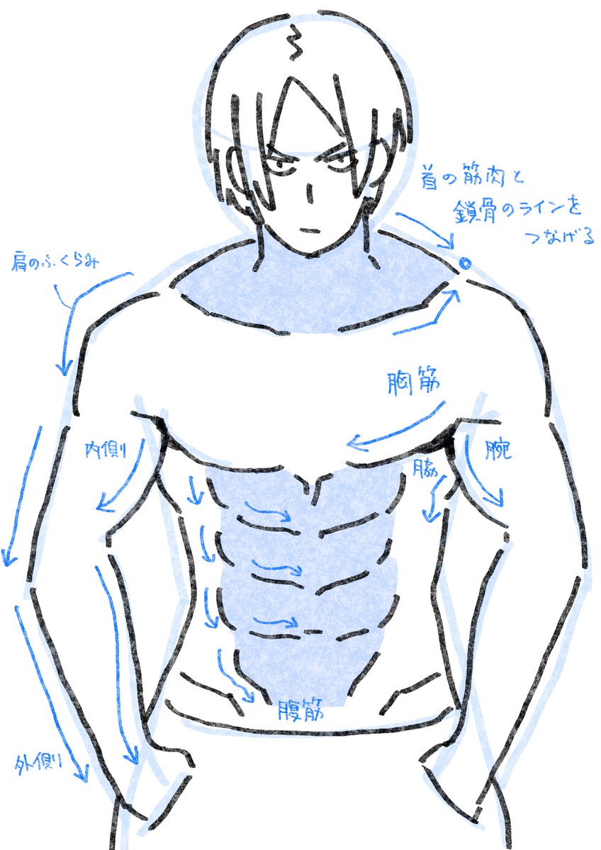 細マッチョを描く時に注意しているポイントです 詳しくはこちら▼▼▼ https://xfoxyfox.fanbox.cc/posts/5971670