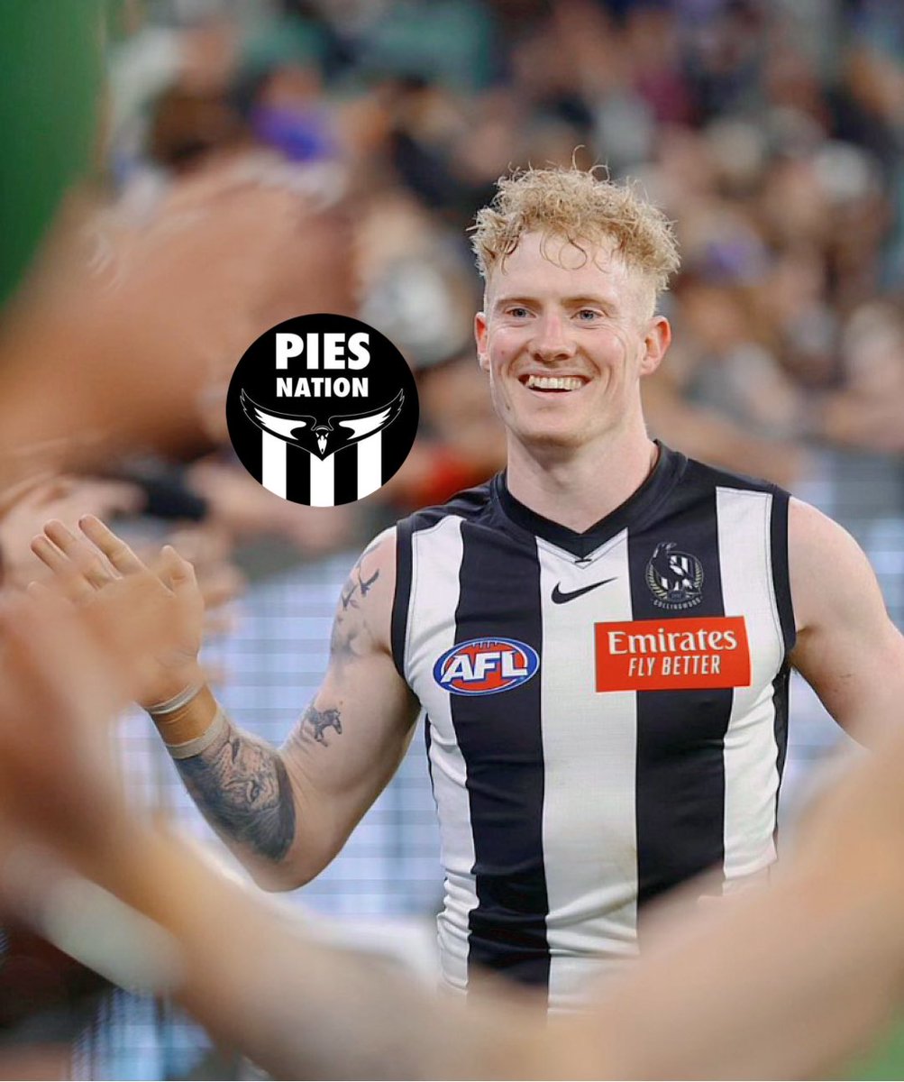 PiesNation tweet media