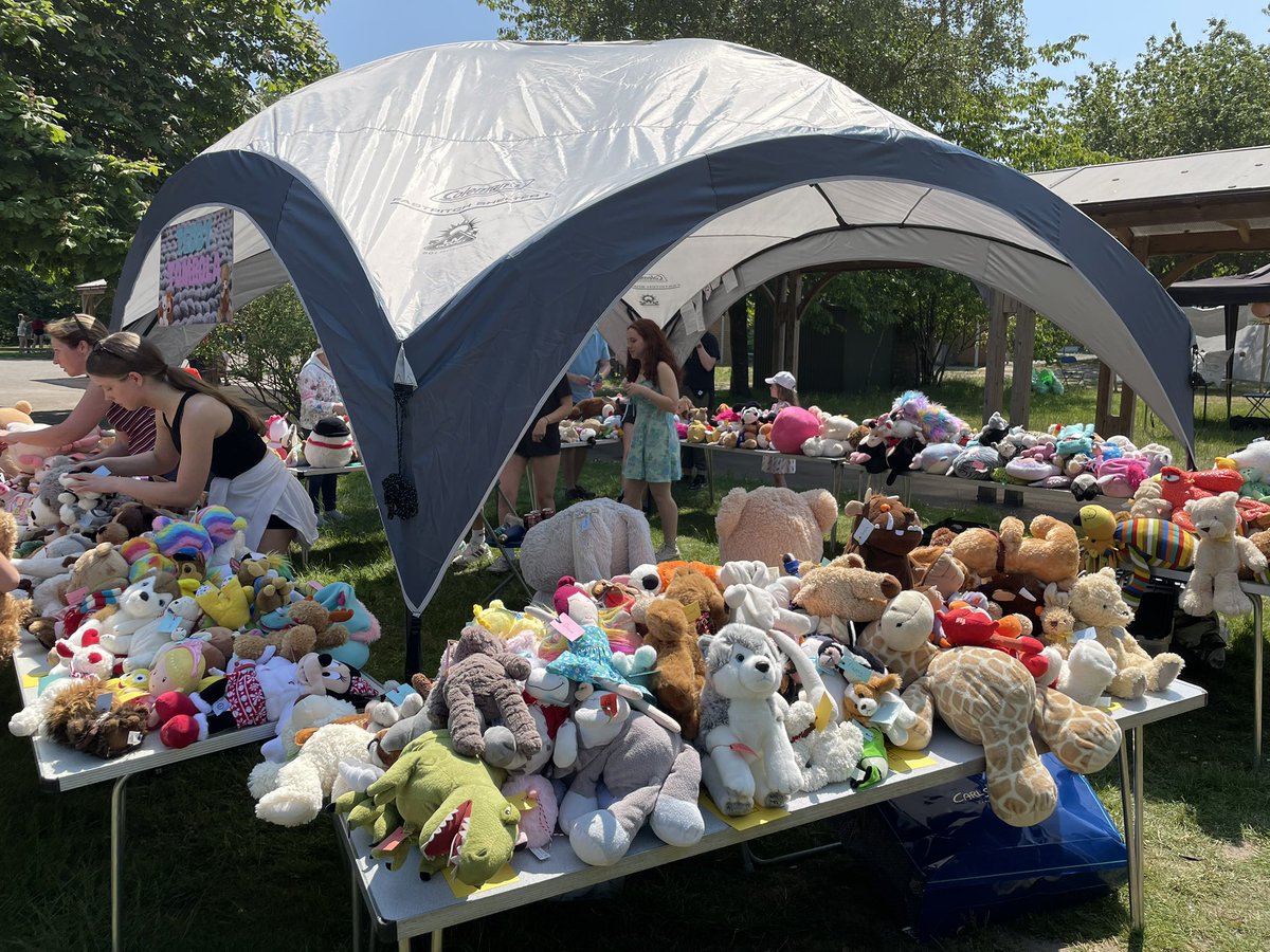 Summer Fair 2023! Great support and lots of fun #ccjs #summerfair #teddybearstall